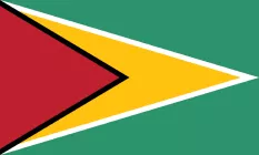 Flag of Guyana
